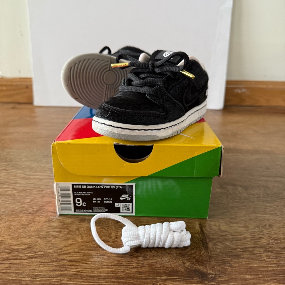 Nike Bearbrick Dunk Lows in 9c